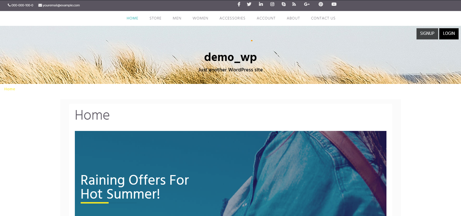 How to install theme by using 3 ways