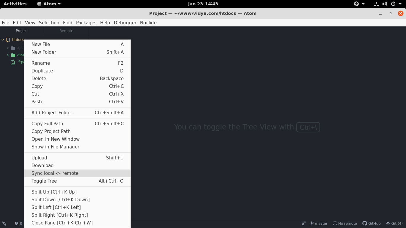 sync with remote in FTP