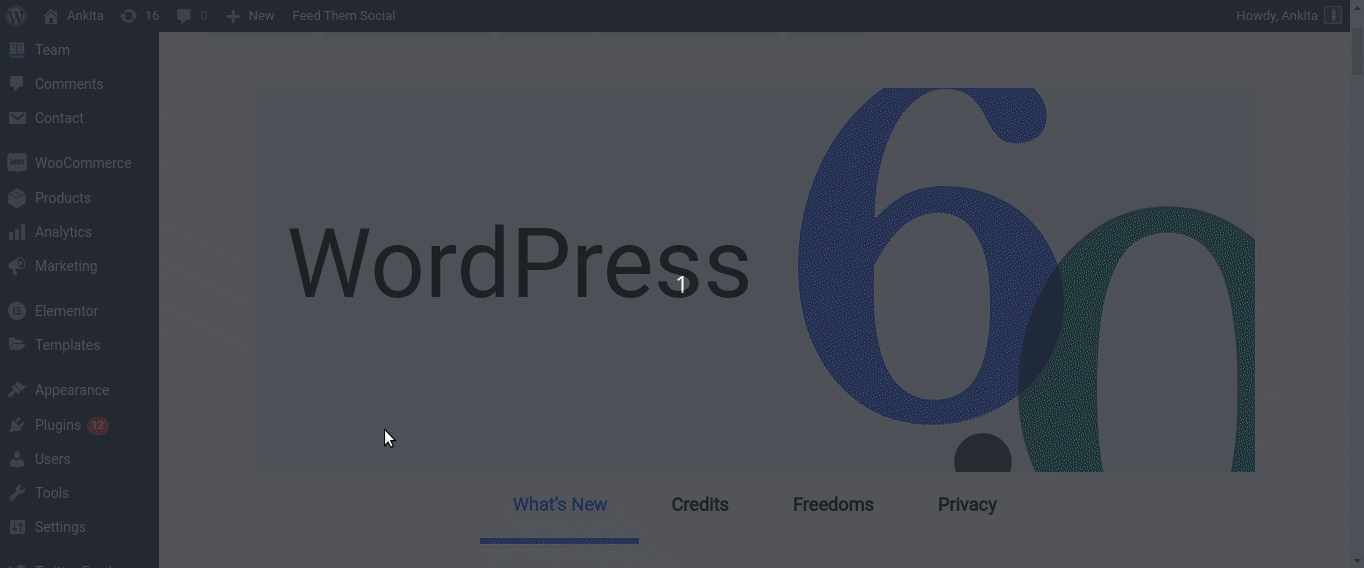 How to generate web fonts files and use them in custom fonts